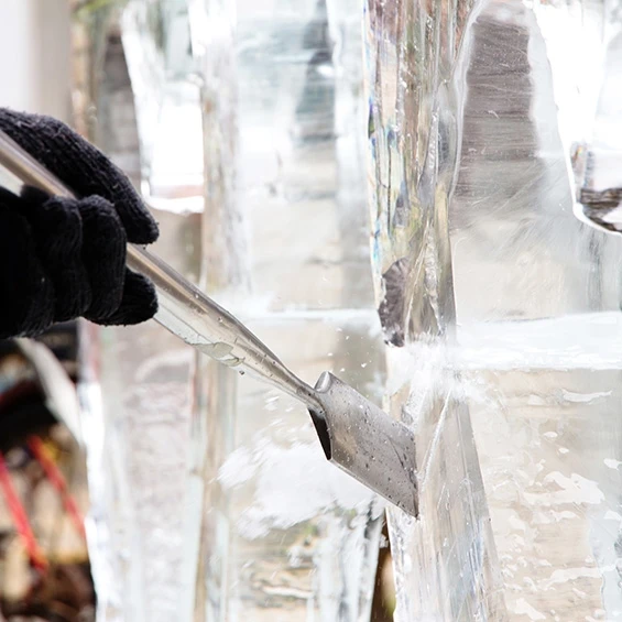 ijssculptuur-maken-workshop